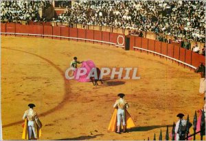 Modern Postcard El Cordobes Bull Bullfight