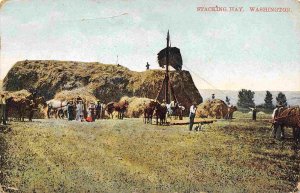 Stacking Hay Farming Washington 1909 postcard