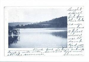 LP93    Catskill Mountain,  New York,  NY,  postcard, Perch 
