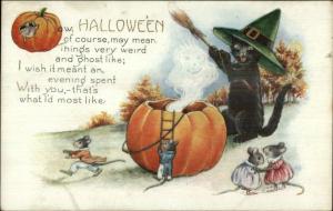 Halloween Black Cat Witch Hat Mouse & Ghost Whitney c1910 Postcard