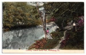 1908 Looking toward Island Park, Wolfesburg, PA Hand-Colored Postcard