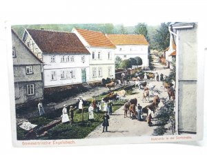 Sommertrische Engelsbach Kuhherde in der Dorfßtrasse Vintage German Postcard1925