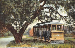 San Antonio Texas River Ave., Old Tree & Trolley, Color Lithograph PC U7998