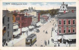 North Street Streetcar Auburn New York 1920c postcard