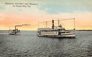 Favorite River Steamship Tampa Bay Florida USA Ferry Boat Ship 