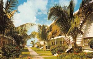 ST PETERSBURG, FL Florida   DOLPHIN APARTMENTS   Roadside   1959 Chrome Postcard