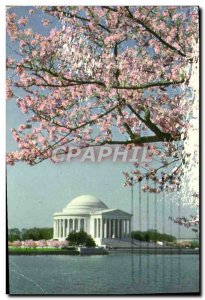 Modern Postcard Jefferson Memorial Washington D C.