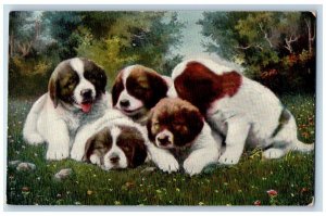 Mayville North Dakota ND Postcard Saint Bernard Cute Puppies Dog 1909 Antique