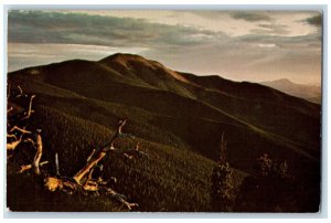 1972 Summer Dawn On Baldy Mountain View Tree Rock New Mexico NM Vintage Postcard