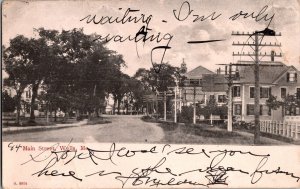 Residences on Main Street, Wells ME Undivided Back Vintage Postcard R57