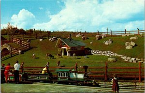 Canada Edmonton Storyland Valley Children's Zoo Goats On Hillside Above ...