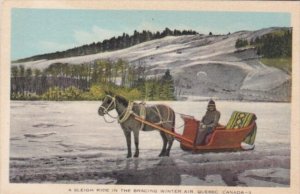 Canada Quebec Sleigh Ride In The Bracing Winter Air