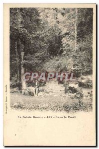 Old Postcard La Sainte Baume in the Forest
