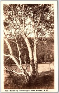 Birches By Androscoggin River Gorham New Hampshire NH Real Photo RPPC Postcard