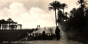 1920s CAIRO EGYPT SHEPHERD DRIVING HOMEWARD PHOTO RPPC POSTCARD P1683