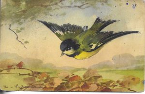 Birds, by Catherine Klein Lot of 2 old vintage Swiss, artist signed, postcard
