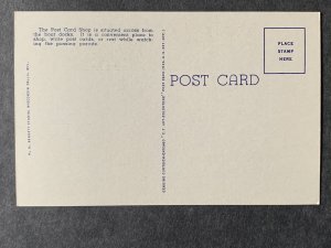 The Post Card Shop Wisconsin Dells WI Linen Postcard H1304082722