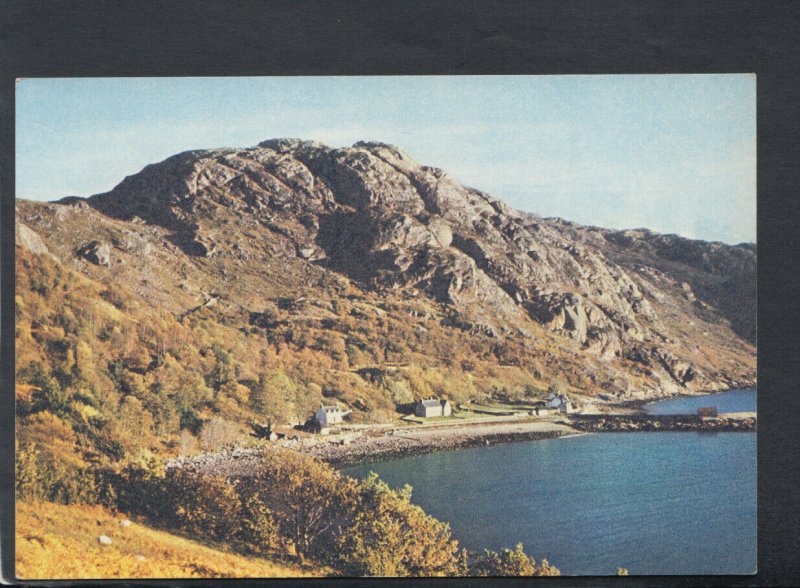 Scotland Postcard - Diabeg, Loch Torridon, Wester Ross      T7005