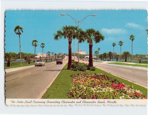Postcard The Palm-Lined Causeway, Florida