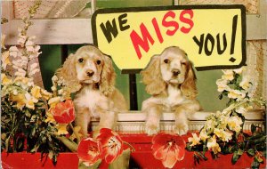 'We Miss You' Two Cocker Spaniel Dogs Puppies Flowers c1960s Postcard F99