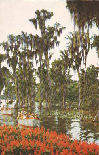 Sightseeing Boats At Cypress Gardens Florida 1959