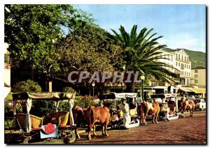 Modern Postcard Funchal Madeira Carro wood