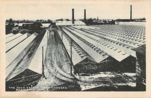 Brampton Ontario Canada Dale Estate and Greenhouses Farming Postcard AA20305