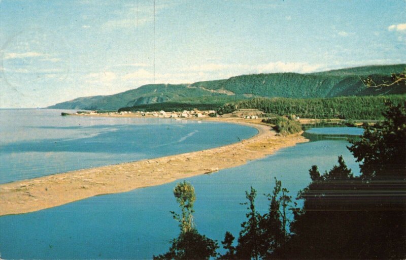 Gaspe' Peninsula, P.Q. Postcard 