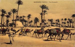 B84812 hammamdji tripoli vers ghadames camel types libia lybia