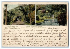 1906 Jardim D'Antonio Borges Multiview Lembranca De Sao Miguel Portugal Postcard