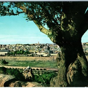 c1970s Jerusalem, Israel Panorama Dome of the Rock Olive Tree Chrome 4x6 PC M26