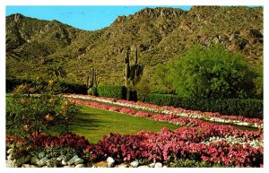 Postcard GARDEN SCENE Phoenix Arizona AZ AS0241