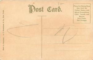 Minneapolis Minnesota~Fernced In East Side High School~1910 Postcard