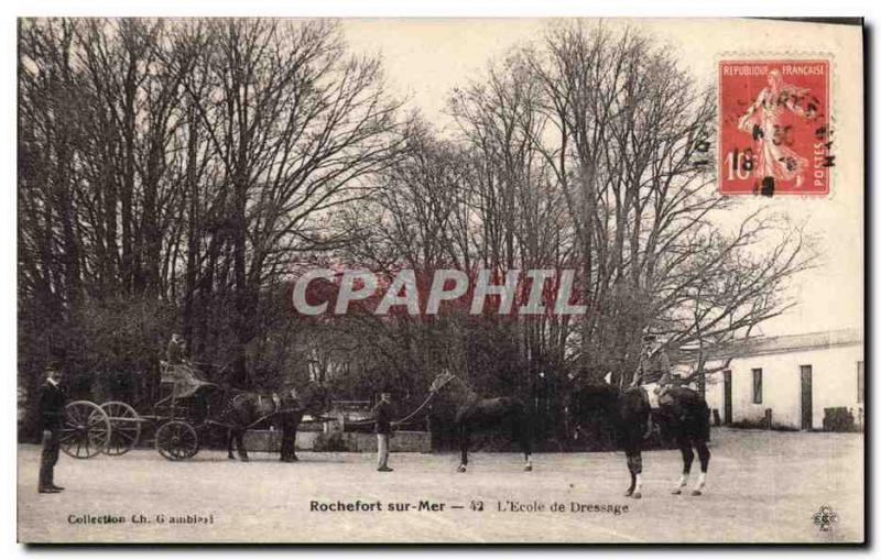 Postcard Old Horse Horses Equestrian Rochefort sur Mer L & # 39ecole dressage