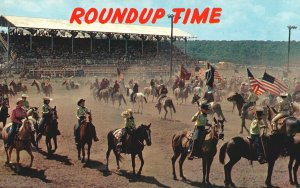 VINTAGE POSTCARD ROUNDUP TIME WESTERN HORSE PARADE IN FRONT OF CROWD FLAGS