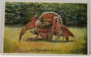 Until Thanksgiving do us Part, Bride Groom Turkeys Embossed Gilded Postcard F12