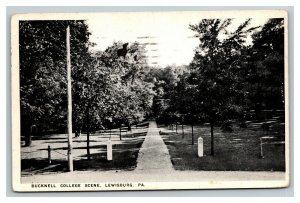 Vintage 1921 Photo Postcard Bucknell College Park Lewisburg Pennsylvania