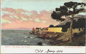 Italy Nervi La Strada Con Il Pino Vintage Postcard 03.19