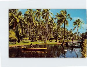 M-215692 Tranquil Coco Palms Lagoon on the Island of Kauai Hawaii USA