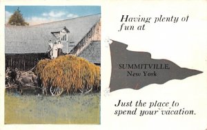 Greetings From Summitville, New York  