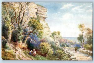 c1910's The Undercliff Ventnor The Isle Of Wight Oilette Tuck Art Postcard