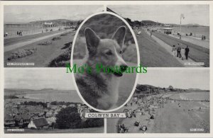 Wales Postcard - Colwyn Bay - Corgi Dog - Denbighshire RS33502