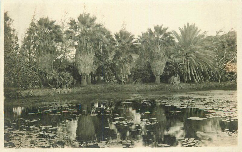 Hawaii Palm Lagoon C-1910 RPPC Photo Postcard 22-455