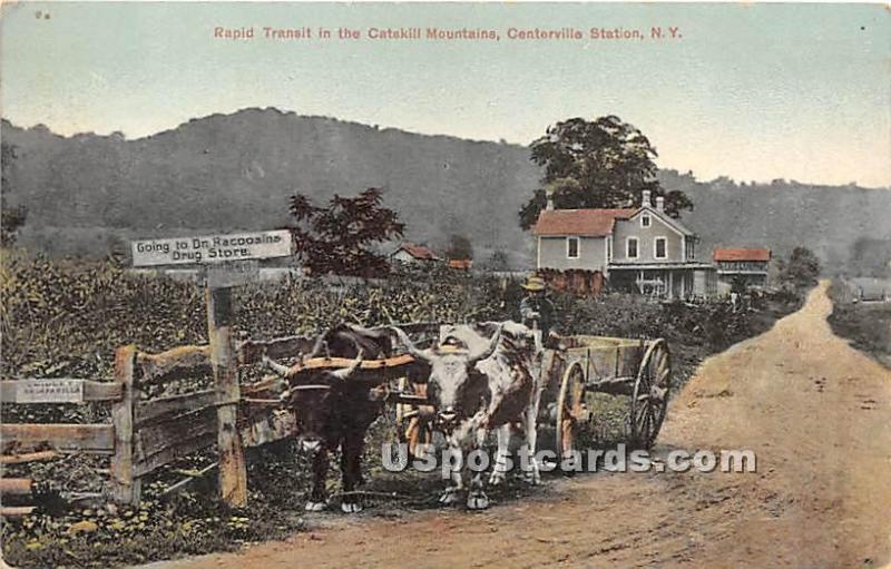 Rapid Transit in the Catskill Mountains Centerville Station (Woodridge) NY Un...