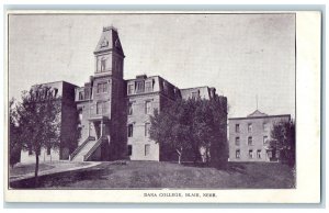 c1905's Dana College Building Exterior Blair Nebraska NE Unposted Trees Postcard