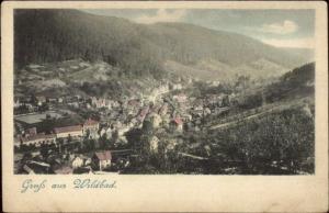 Gruss Aus Wildbad c1900 Postcard - Germany