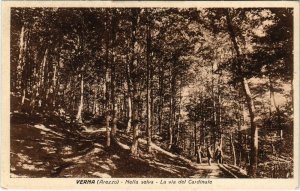 CPA Verna Arezzo Nella selva La via del Cardinale ITALY (802751)