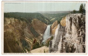 Lower Falls Of The Yellowstone