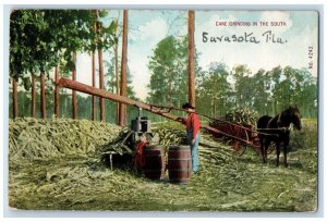 1911 Cane Griding In The South Sarasota Florida FL, Horse Wagon Barrel Postcard