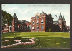 Museum of Natural History Washington DC 1910c postcard